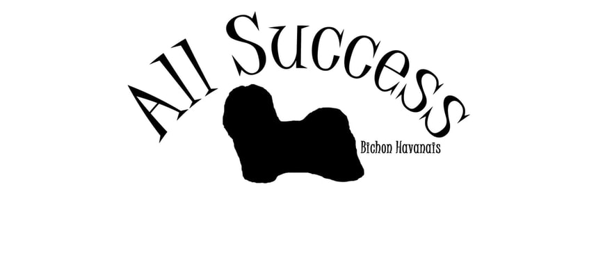 ALL SUCCESS